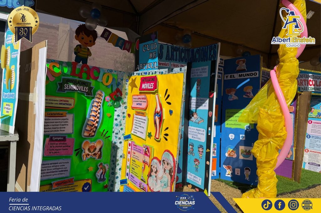 feria de ciencias primaria 12