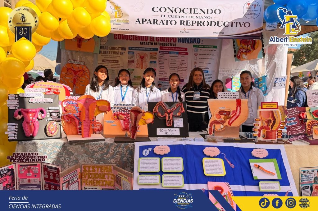 feria de ciencias primaria 3