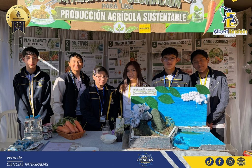 feria de ciencias secundaria 15