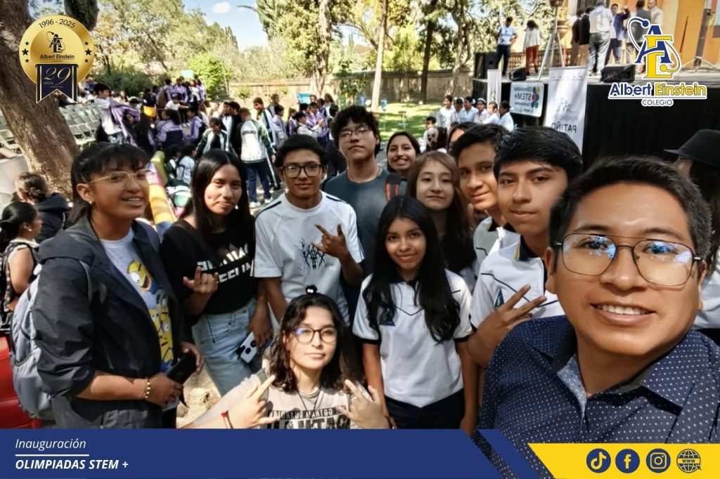 stem 1