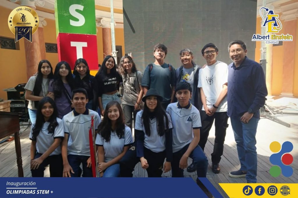 stem 6