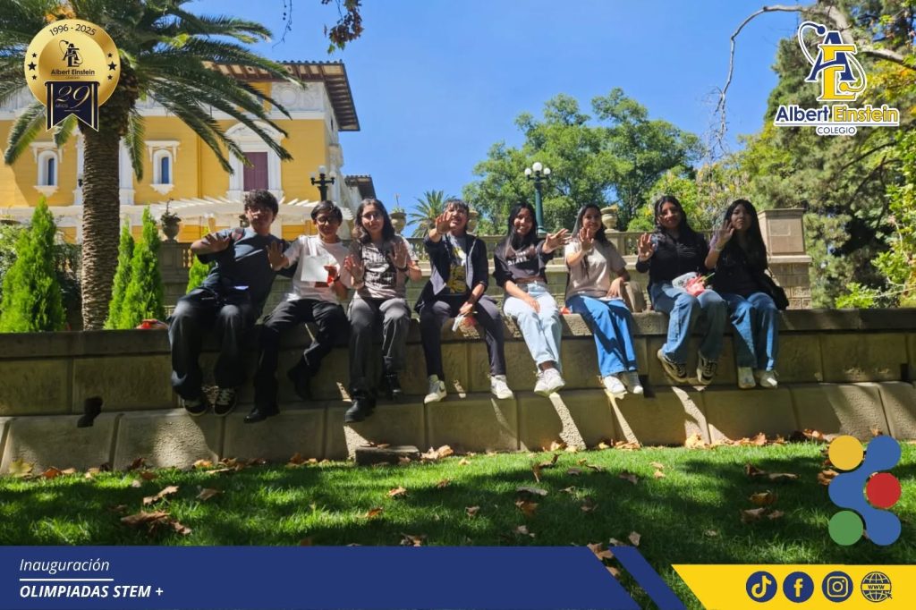 stem 8